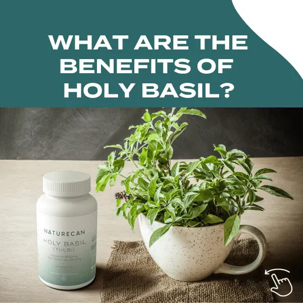 Holy Basil Capsules - Image 4