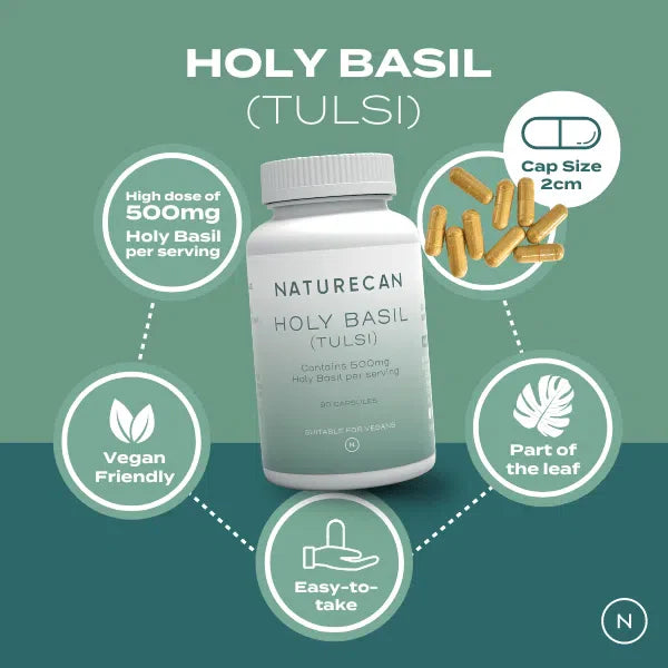 Holy Basil Capsules - Image 5
