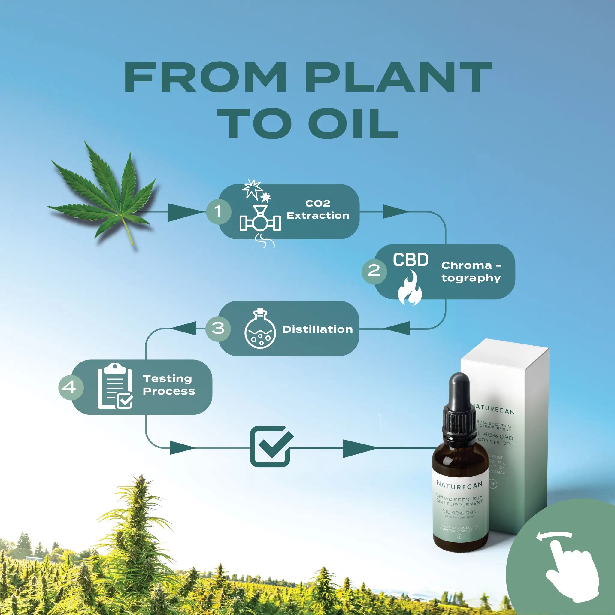 50% CBD oil - Image 4