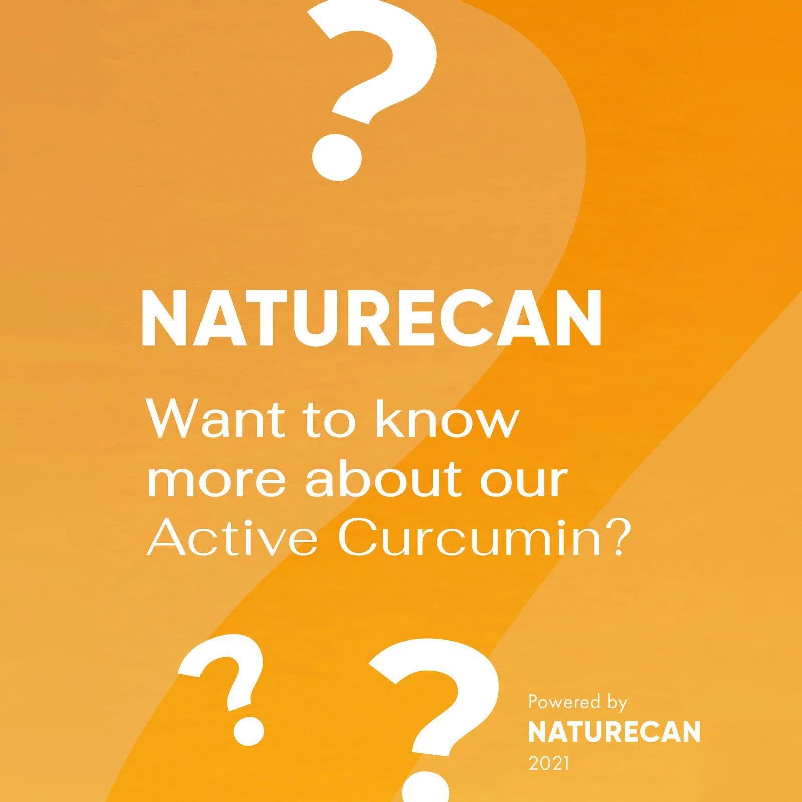 Active Curcumin - Image 2