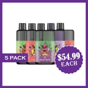 GROO MAX – 10000 PUFFS – 3 PACK