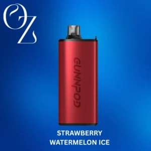 Strawberry Watermelon Ice – GUNNPOD EVO